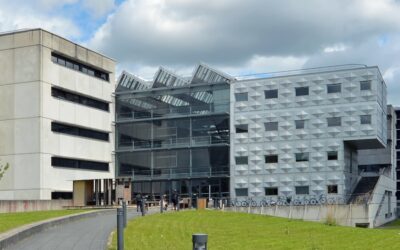 Workshop de construction à l’école d’architecture de Marne-la-Vallée